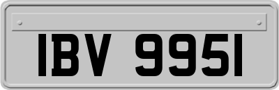 IBV9951