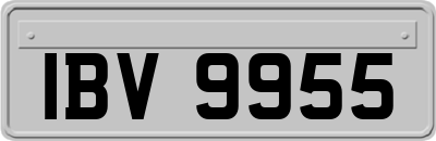 IBV9955