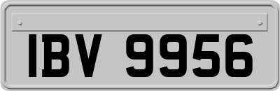 IBV9956
