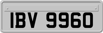 IBV9960