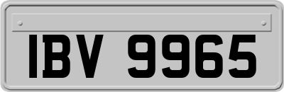 IBV9965