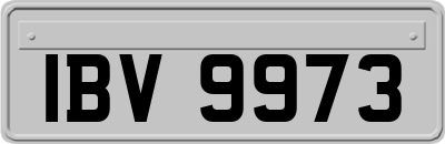 IBV9973