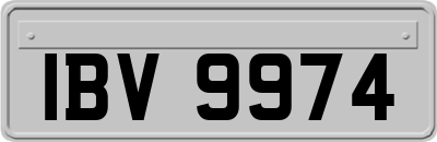 IBV9974