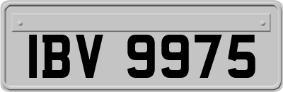 IBV9975