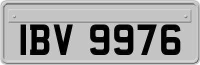 IBV9976