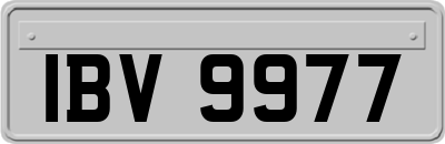 IBV9977