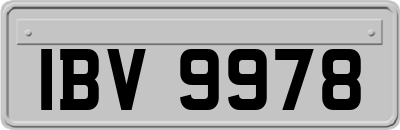 IBV9978