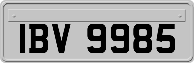 IBV9985
