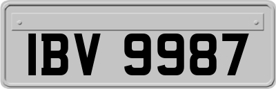 IBV9987