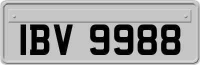 IBV9988
