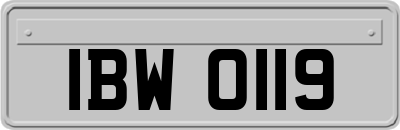 IBW0119