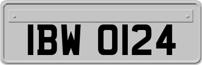 IBW0124