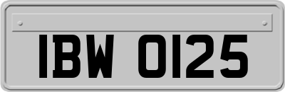 IBW0125