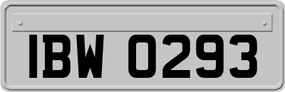 IBW0293