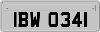 IBW0341