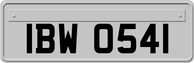 IBW0541