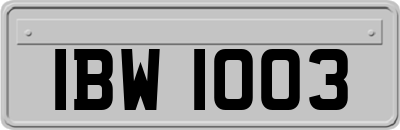 IBW1003