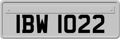 IBW1022