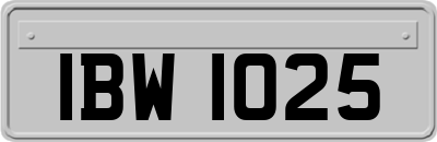 IBW1025