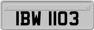 IBW1103