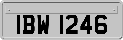IBW1246