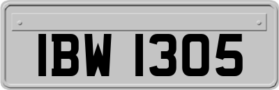 IBW1305