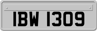 IBW1309
