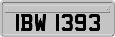 IBW1393