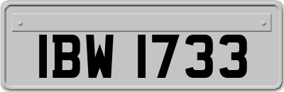 IBW1733