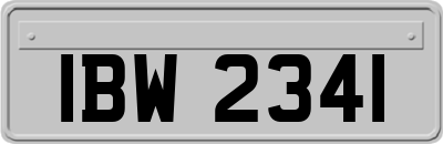 IBW2341