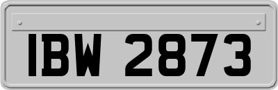 IBW2873