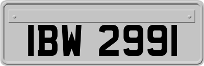 IBW2991