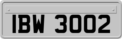 IBW3002