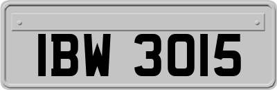 IBW3015