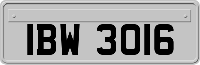 IBW3016