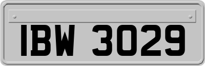 IBW3029