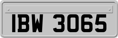 IBW3065
