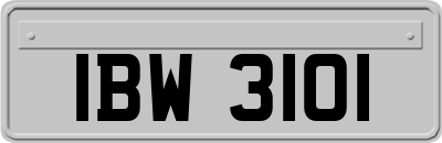 IBW3101
