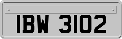 IBW3102