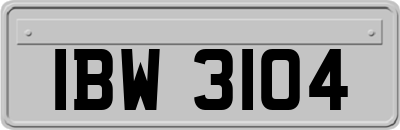 IBW3104