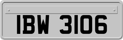 IBW3106