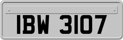 IBW3107