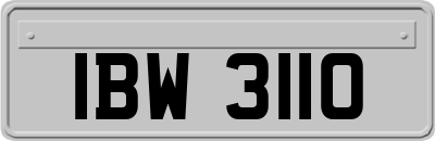 IBW3110