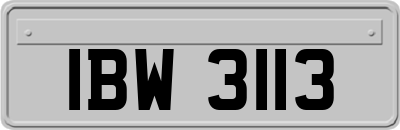 IBW3113