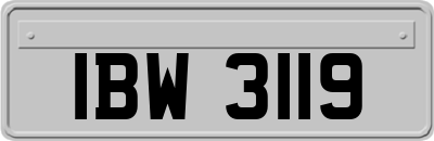 IBW3119