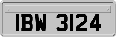 IBW3124