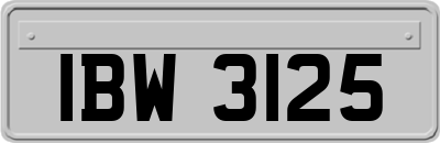 IBW3125