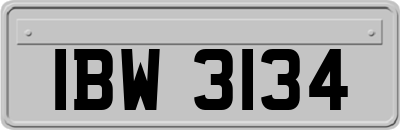 IBW3134