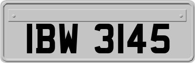 IBW3145