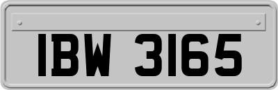 IBW3165